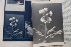 9) KOLEKCJA PRYWATNA TYMBARK