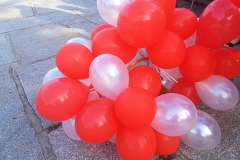 2018-08-12 16.59.57 (2)