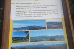 219219440_1240787869716583_8097805280442027740_n