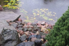 21729731_1446513338778429_1590636321_o