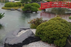 21729879_1446512615445168_231955043_o