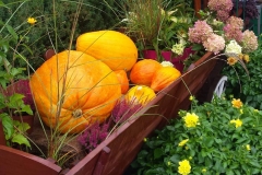 21729910_1446513278778435_1564754447_o