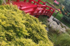 21730041_1446513392111757_1914613003_o