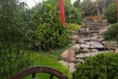 21742020_1446513398778423_1446014299_o