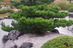 21742125_1446512632111833_475538026_o