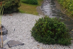 21744832_1446512752111821_924828266_o