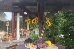 21744892_1446512385445191_449084585_o