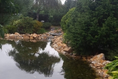 21745078_1446512432111853_1740082952_o