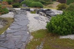 21755031_1446512915445138_51157410_o