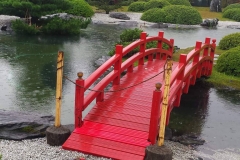 21764450_1446512898778473_1219722115_o