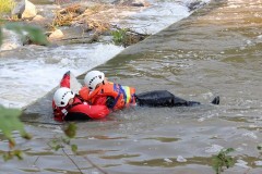 67908425_363565017650107_4889309208337448960_n