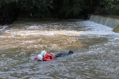 68642634_1460343214105404_1346304378499235840_n