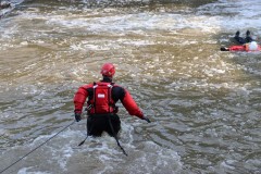 69105812_455159878661014_677302839202021376_n