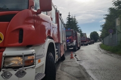 33530521_646627719011541_3734312607461408768_n