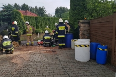 33595196_646628065678173_7650824178660016128_n