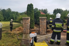 33782088_646628275678152_7624518045137895424_n