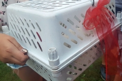 2018-07-22 20.32.01 (2)