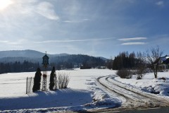 2020-02-09-12.01.53x