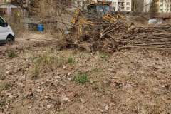 FB_IMG_1679518289559