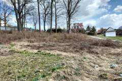 FB_IMG_1679518308847