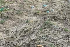 FB_IMG_1679518317496