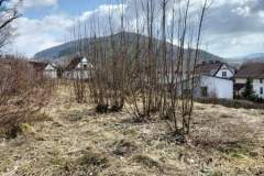 FB_IMG_1679518323613