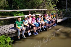 106249454_884284968759644_6610611720725741219_n