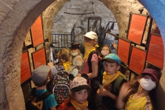 106577132_319249879081646_3466046314403060674_n