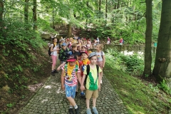 106740929_564054037623061_8268096842386839035_n