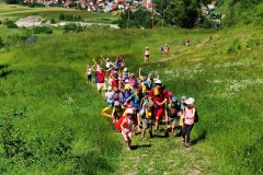 72947593_874381066419049_6333272039186599809_n