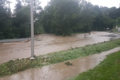 5754c245-e05d-4736-8d89-104527a38ea3