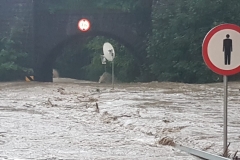 7c5cee83-23bc-4132-8b20-f0d4a871f24e