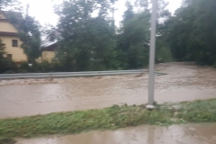 a0a35a0e-6d6e-429d-a4d8-20577a4e361d