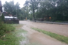 e82dfd4a-91b3-458e-a534-1f72d9caed5f