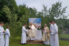 2018-05-31 11.30.03_preview