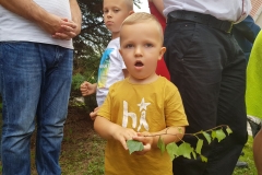 2018-05-31 11.34.53_preview