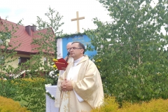 2018-05-31 11.44.42_preview