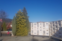 45812602_2169910623040479_7264695945755885568_n