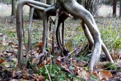 image000000001002003004005006007008009010011012