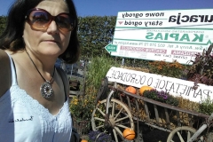 41600025_1284253051716839_4398958852351983616_n