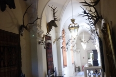 41641394_2113276652039270_5636062725277745152_n