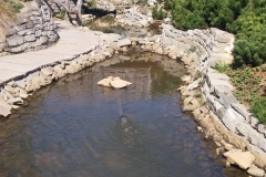 41644182_418051321932631_2857937346895020032_n