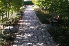 41647186_465915327260933_3901939284034191360_n