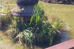 41652896_458149864706301_2653742468360568832_n