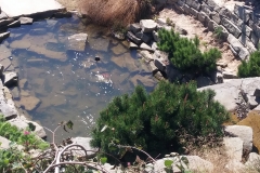 41671993_445431236021342_4707639040973733888_n