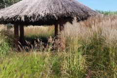 41687794_270859793550600_3518072128073105408_n