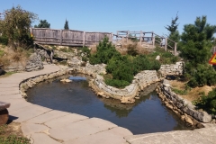 41739404_1970581946334718_2080701205809463296_n