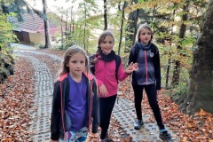 310889433_623290122612346_8146031385850927161_n