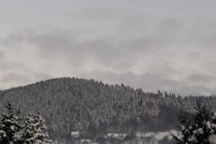 367384205_549473234062619_1326516382604383978_n