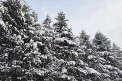 370288048_265630499831670_61087919279104331_n